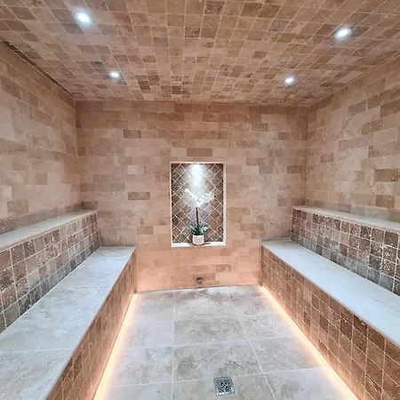 Chalet Chalet La Louve, 1650- 15 Personnes Jacuzzi Et Hammam Pistes 70 M,commerces 50m *