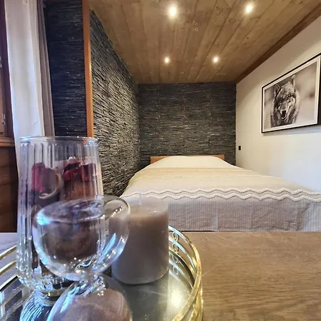 Chalet Chalet La Louve, 1650- 15 Personnes Jacuzzi Et Hammam Pistes 70 M,commerces 50m *